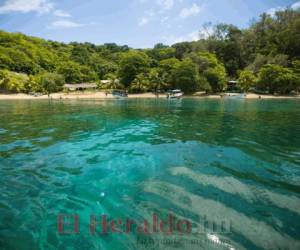 El tono del agua cambia dependiendo del archipiélago al que se dirija, encontrará algunas de color esmeralda y otras azul cielo. Foto: Honduras Tips.