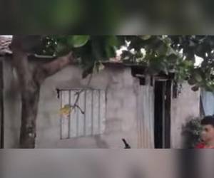 El cadáver del joven quedó tendido en medio de la casa.