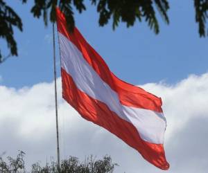 Bandera oficial del Partido Liberal de Honduras. Foto: EL HERALDO.