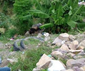 El joven llevaba vrias semanas escondiéndose tras haber escapado de la prisión.