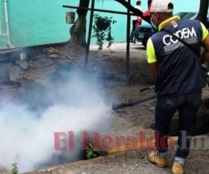 Los pacientes fallecidos por sospecha de dengue son seis, y vivían en las colonias Arsiery, La Esperanza, Zapote Norte, Providencia, Nueva Orocuina y La Trinidad. Por ello siguen los operativos. Foto: El Heraldo