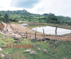 Las cosechadoras de agua hechas por Invest-H han funcionado y beneficiado a cientos de productores debido a que se hicieron con todos los estudios requeridos. Foto: EL HERALDO