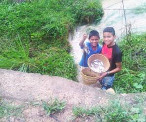 Dos niños muestran los peces que recolectaron cerca de un riachuelo en la comunidad de Centro Poblado La Unión, Victoria, Yoro. (Fotos: cortesía Cadena Radial Centro)