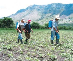 En algunas partes del país los campesinos ya están sembrando, pero en otras prefieren esperar.