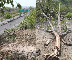 Así quedó el lugar del accidente donde fallecieron José Manuel Juárez Murillo y su amigo Jonathan Alexi Palma Ríos. ¿Cómo fueron los minutos antes de la tragedia?