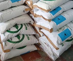 Las autoridades locales de Marcovia comenzaron a entregar apoyo en fertilizantes y semillas a los pequeños productores. Pese a la falta de lluvias quieren estar preparados para la postrera.