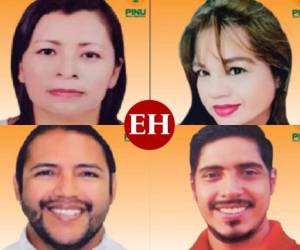 Poco conocidos y con reducidas posibilidades de ganar puestos en el Congreso Nacional están los 23 candidatos del Partido Innovación y Unidad Social Demócrata (PINU) que competirán en contra de otros postulantes de al menos 13 partidos políticos en las elecciones generales del próximo 28 de noviembre en Honduras. En vísperas de los comicios del corriente año, EL HERALDO presenta a los aspirantes a congresistas del PINU. Fotos: Captura de pantalla de la muestra de la papeleta electoral del CNE
