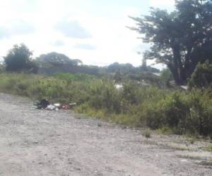 Desmembrado encuentran cuerpo de un hombre en botadero de basura en San Pedro Sula