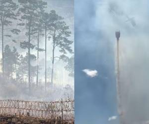 Un voraz incendio que comenzó en el sector de El Chimbo, se ha extendido hacia las áreas verdes y algunas residencias en El Hatillo, amenazando con su paso al pulmón de la capital este jueves 12 de marzo. A continuación las imágenes y los detalles.