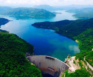 En las laderas que rodean al embalse, sobre las ramas de pinos y encinas, cientos de miles de cormoranes han construido sus nidos, donde alimentan a sus crías en medio de un concierto de graznidos.