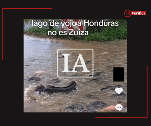 Captura de pantalla a una publicación de Tik Tok hecha el 6 de octubre de 2026, adaptada a esta cartela.
