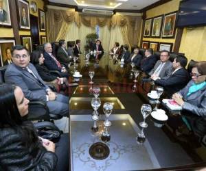 La Comisión trabajó durante seis meses en su opinión.