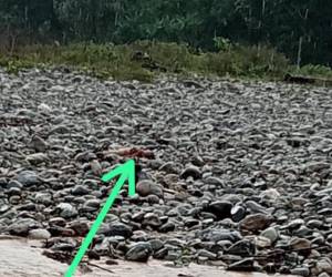 Los cuerpos fueron hallados a las orillas del río, en diferentes puntos del departamento.