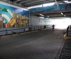 Comerciantes del sector consideran que parte del problema está relacionado con la disposición de los desechos generados en los alrededores del mercado Los Dolores.
