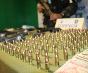 Mediante un operativo de control las autoridades impidieron el ingreso de armas y otros artefactos prohibidos a PNFAS en Támara.