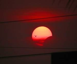 Honduras se apresta a observar el eclipse solar este 21 de agosto. Debido a la posición, en nuestro país solo podrá verse de manera parcial. En esta fotogalería te mostramos una ilustración de cómo se verá el fenómeno. Foto: Shutterstock.