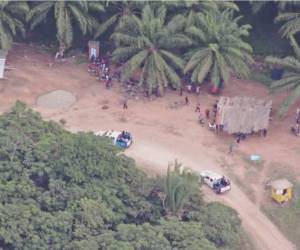 Campesinos se resisten a desalojar las fincas usurpadas.