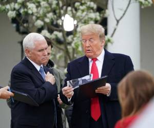 El presidente de los Estados Unidos, Donald Trump, y el vicepresidente Mike Pence hablan después de una reunión virtual del ayuntamiento de Fox News desde el Jardín de las Rosas de la Casa Blanca. Foto: Agencia AFP.