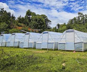 La entrega de secadoras solares se alinea a los ejes estratégicos del gobierno de Honduras, en particular con el desarrollo rural integral, la seguridad alimentaria y la adaptación al cambio climático.