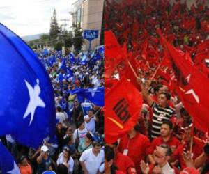 La RDD llamó a fortalecer las políticas de fiscalización.