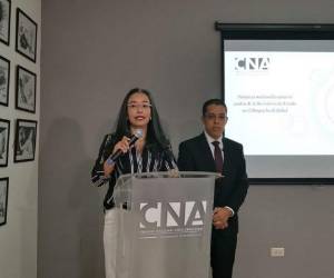 La nueva línea de investigación fue presentada este lunes por la CNA.