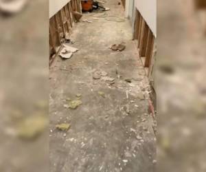 Las intensas lluvias afectaron las paredes de la casa de Thalía. Foto Instagram