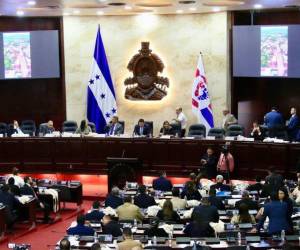 El CN aprobó una reforma que permitirá distribuir anticipadamente fondos líquidos incautados entre siete instituciones de seguridad y justicia, bajo condiciones legales y mecanismos de control para garantizar la transparencia y la eventual devolución de los recursos.