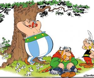 Este volumen los protagonistas son el jefe del pueblo, Abraracourcix, y su esposa Bonemine.