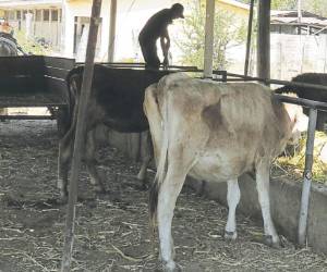 Las instalaciones de la Enca deberán ser acondicionadas para garantizar la enseñanza agrícola.