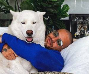 Maluma dijo que decidió dar su número de teléfono personal, porque no tiene muchas cosas qué hacer durante el confinamiento obligatorio por el Covid-19.