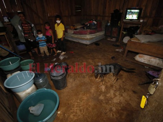 Sara Amador quebró con su venta de tortillas por el Covid-19 y arrastró a la mendicidad a sus tres hijos, Kevin, Abigaíl y Jeremy. Ellos viven en la invasión Santa Clara y piden en el anillo periférico. Foto: Johny Magallanes/EL HERALDO.