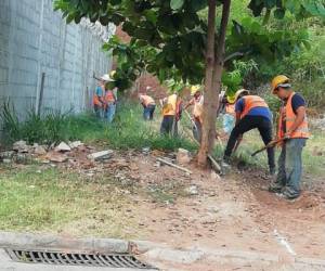 Varias viviendas resultaron con daños estructurales.