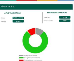 La Misión también anunció que este domingo 7 de diciembre observará la elección extraordinaria en la comunidad de San Antonio de Flores, en el departamento de El Paraíso