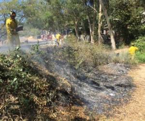 En la actualidad se han registrado unos 121 incendios en zacateras y solares baldíos de Tegucigalpa. Foto: Cortesía Los Bomberos.