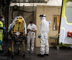 Las pruebas centradas en el SARS-CoV-2 y otros coronavirus que afectan al ser humano comenzarán en noviembre en el Centro Nacional de Biotecnología (CNB-CSIC) de Madrid.