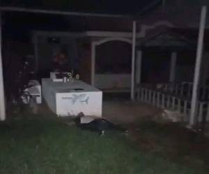 El vigilante del lugar dijo a un medio de comunicación que es la primera vez que ocurre algo así.