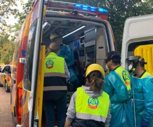 La víctima, que trabaja en el zoo desde hace 19 años, se encuentra hospitalizada en estado grave, anunciaron los servicios de emergencia en un tuit.