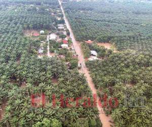 Aunque el país no ha sido golpeado por un fenómenos fuerte, como un huracán, los estragos registrados hasta el momento son alarmantes.