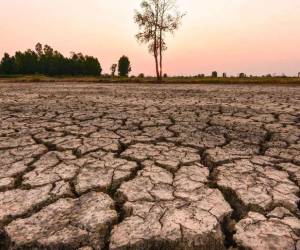 La sequía mantiene bajo presión a varias zonas del país, mientras los pronósticos de El Niño anticipan menos lluvias durante los próximos meses.