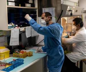 Las autoridades consideran que hasta ahora, al menos 696,700 personas se curaron de la enfermedad. Foto AFP