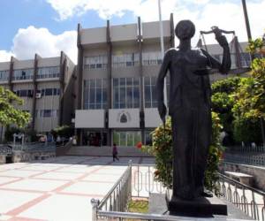 El presidente de la Corte Suprema de Justicia (CSJ), Rolando Argueta, reaccionó luego del resultado positivo obtenido por el Poder Judicial en el informe del Centro de Estudios Judiciales para las Américas (CEJA).