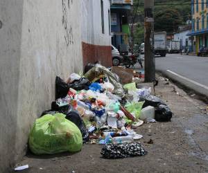Entre los puntos intervenidos mencionó la colonia Hato de Enmedio, La Quezada y la quebrada Agua Salada. Puntos que se volvieron a llenar de basura, pese a los trabajos de limpieza.