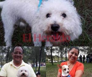 Beto y Spots se robaron las miradas que se dieron cita en el evento. Fotos: Astrid Zambrano/EL HERALDO