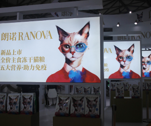 Los gatos y los perros son las estrellas del Pet Fair Asia en Shanghái, pero también hay espacio para animales más exóticos como serpientes, capibaras, suricatas o una alpaca .