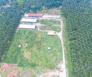 Por varias horas el grupo de trabajadores se tomó la CA-13.