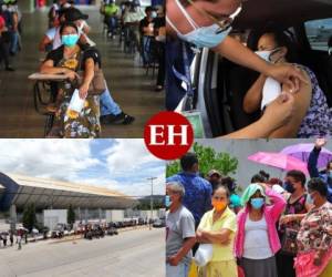Después de un día de descanso, las autoridades de la Secretaría de Salud reanudaron este martes la jornada de vacunación en el territorio hondureño, especialmente en el Distrito Central. Foto: Marvin Salgado/EL HERALDO.