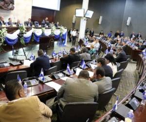 Otra de las normativas con las que se ha avanzado a paso lento es la Ley de Adopciones y aunque se encuentra agendada no ha podido admitirse el articulado en su totalidad.