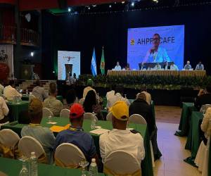 Mendoza, quien también dirige el Instituto Hondureño del Café (Ihcafé) reiteró el compromiso de Ahprocafé de apoyar a los productores con capacitación, asistencia técnica e innovación.