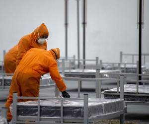 Con la cantidad actualizada de contagios, Ecuador, con 17,5 millones de habitantes, es el segundo país latinoamericano con más casos de Covid-19 después de Brasil, con casi 45,800 casos, aunque el gigante sudamericano cuenta con 210 millones de habitantes.