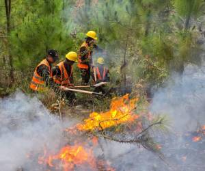 Las labores para intentar controlar las llamas se han intensificado con el paso de los días debido a la magnitud del fuego y a las complicadas condiciones del terreno.